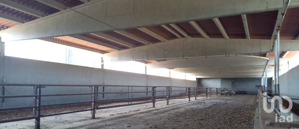 Granja 3 habitacions de 77.362 m² a Tivissa (43746)