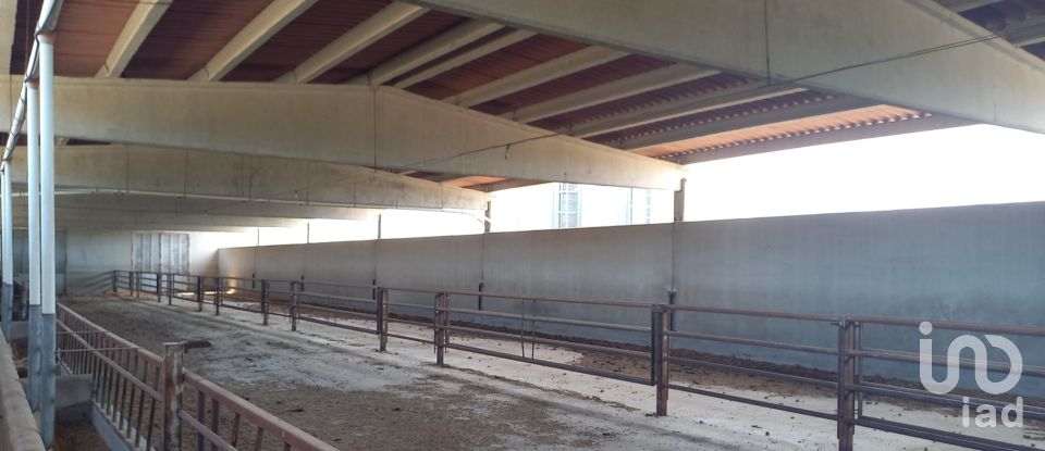 Granja 3 habitacions de 77.362 m² a Tivissa (43746)