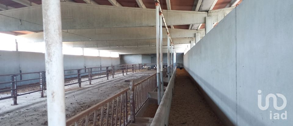 Granja 3 habitacions de 77.362 m² a Tivissa (43746)