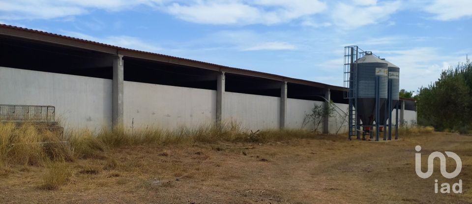 Granja 3 habitacions de 77.362 m² a Tivissa (43746)