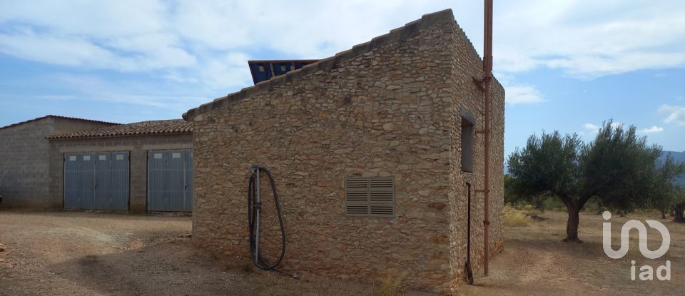 Granja 3 habitacions de 77.362 m² a Tivissa (43746)