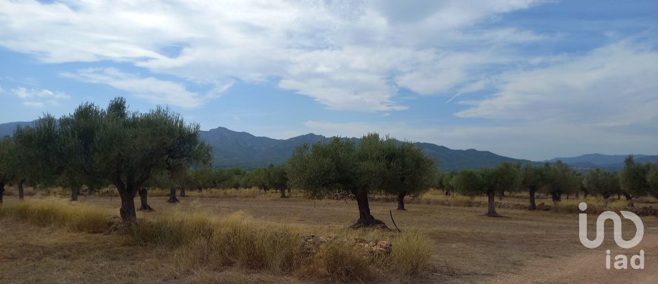 Granja 3 habitacions de 77.362 m² a Tivissa (43746)