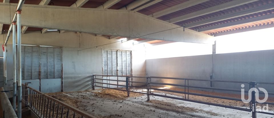 Granja 3 habitacions de 77.362 m² a Tivissa (43746)