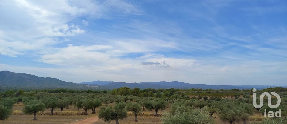 Granja 3 habitacions de 77.362 m² a Tivissa (43746)