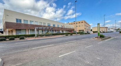 Edificio de 8.738 m² en Castellón de la Plana/Castelló de la Plana (12003)