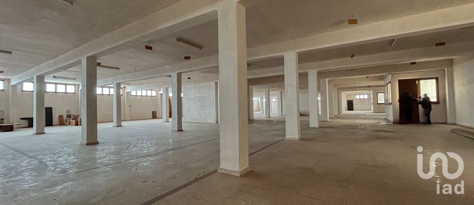 Edificio de 8.738 m² en Castellón de la Plana/Castelló de la Plana (12003)