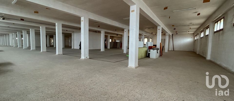 Edificio de 8.738 m² en Castellón de la Plana/Castelló de la Plana (12003)