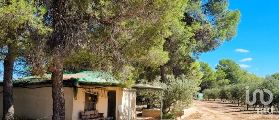 Land of 30,000 m² in Tivissa (43746)