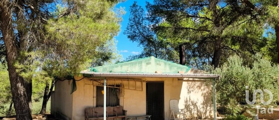 Land of 30,000 m² in Tivissa (43746)