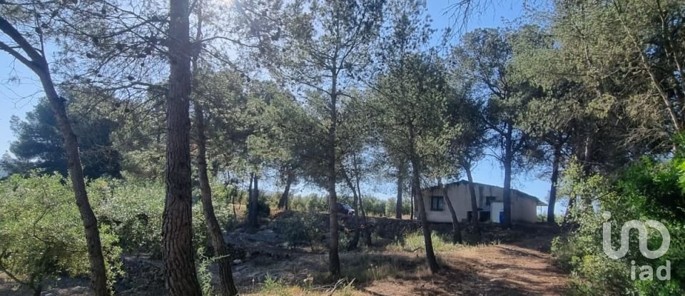 Land of 30,000 m² in Tivissa (43746)