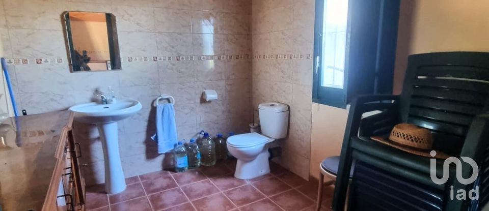 Land of 30,000 m² in Tivissa (43746)