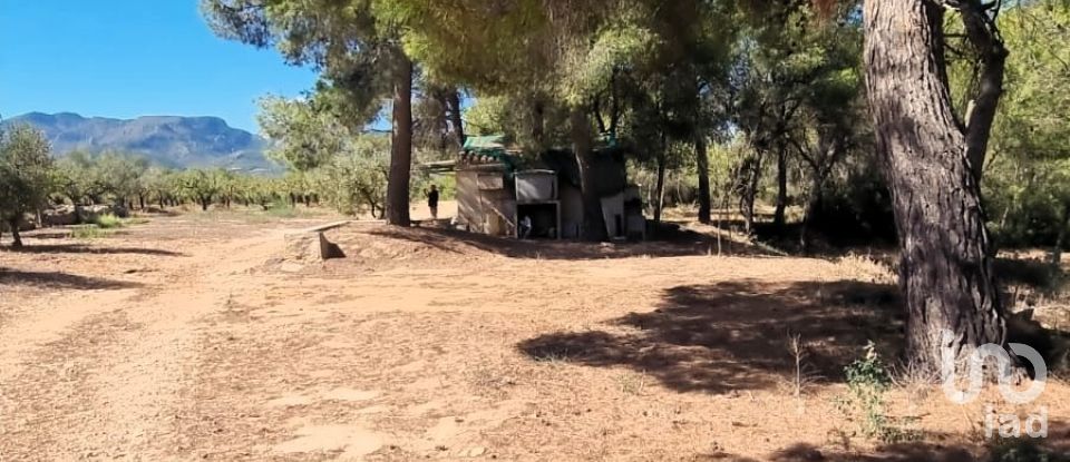 Land of 30,000 m² in Tivissa (43746)