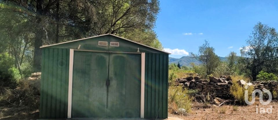 Land of 30,000 m² in Tivissa (43746)