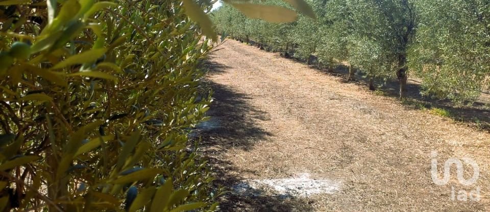 Land of 30,000 m² in Tivissa (43746)