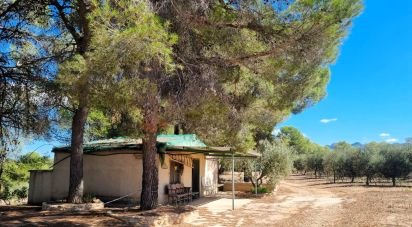 Land of 30,000 m² in Tivissa (43746)