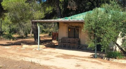 Land of 30,000 m² in Tivissa (43746)