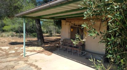 Land of 30,000 m² in Tivissa (43746)