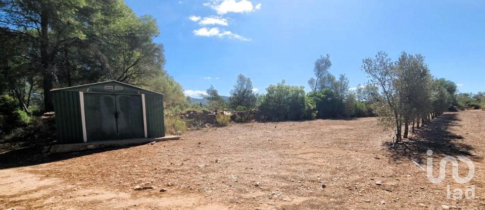 Land of 30,000 m² in Tivissa (43746)