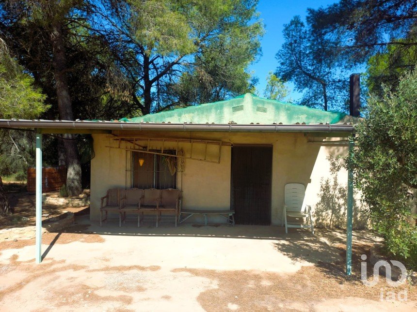 Land of 30,000 m² in Tivissa (43746)