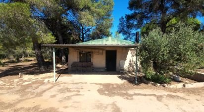 Land of 30,000 m² in Tivissa (43746)