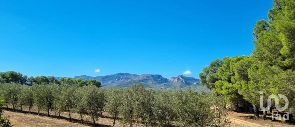 Land of 30,000 m² in Tivissa (43746)