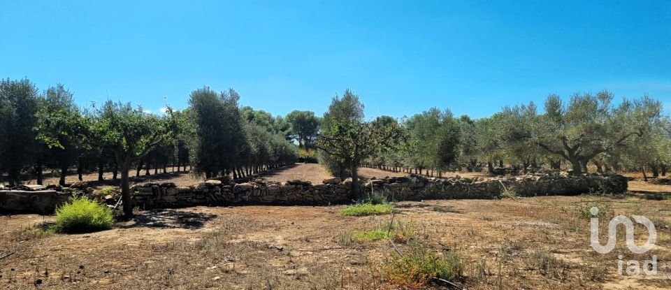 Land of 30,000 m² in Tivissa (43746)