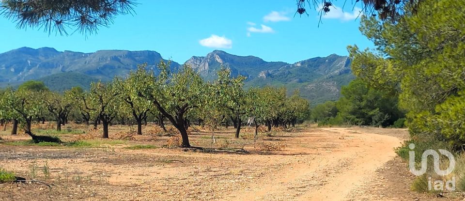 Land of 30,000 m² in Tivissa (43746)