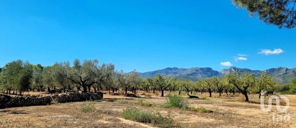 Land of 30,000 m² in Tivissa (43746)