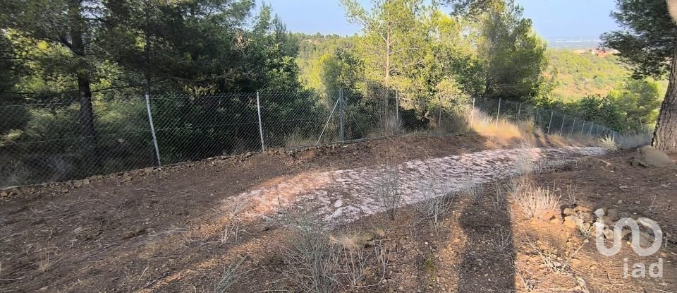 Land of 2,462 m² in Castellvell del Camp (43392)