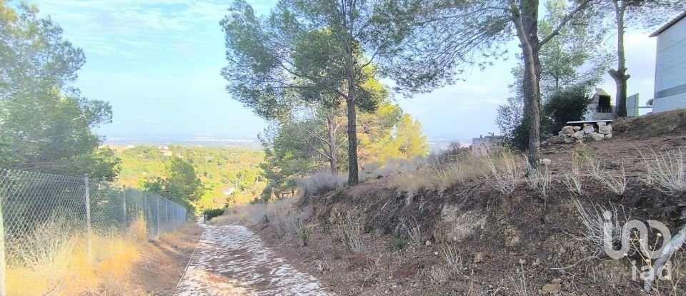 Land of 2,462 m² in Castellvell del Camp (43392)