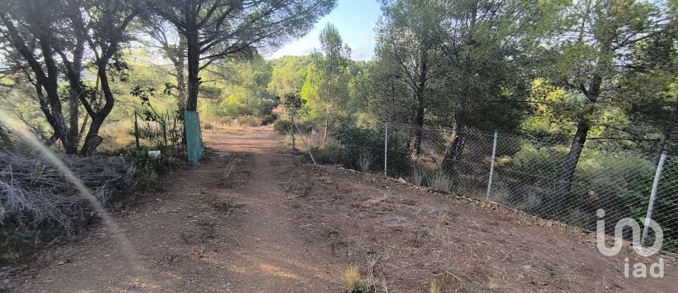Land of 2,462 m² in Castellvell del Camp (43392)