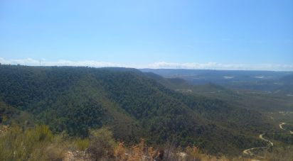 Lodge 3 bedrooms of 200 m² in Mequinenza (50170)