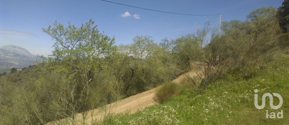 Land of 47,000 m² in Casabermeja (29160)