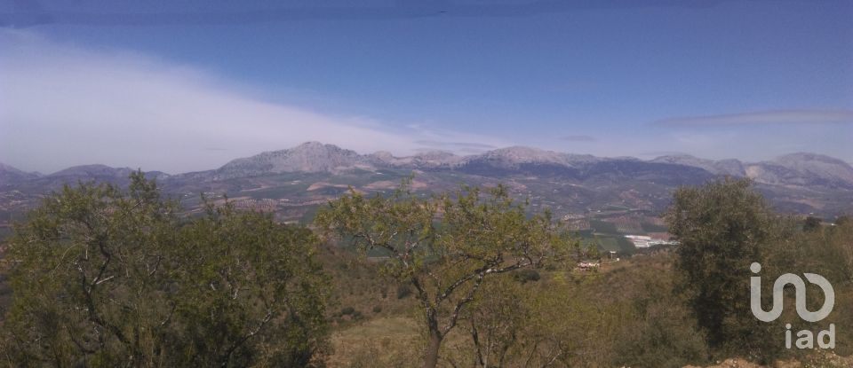 Land of 47,000 m² in Casabermeja (29160)