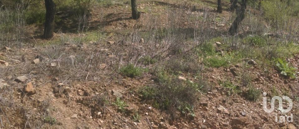 Land of 47,000 m² in Casabermeja (29160)