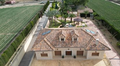 Casa rústica 5 habitaciones de 578 m² en Aspe (03680)