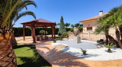 Casa rústica 5 habitaciones de 578 m² en Aspe (03680)