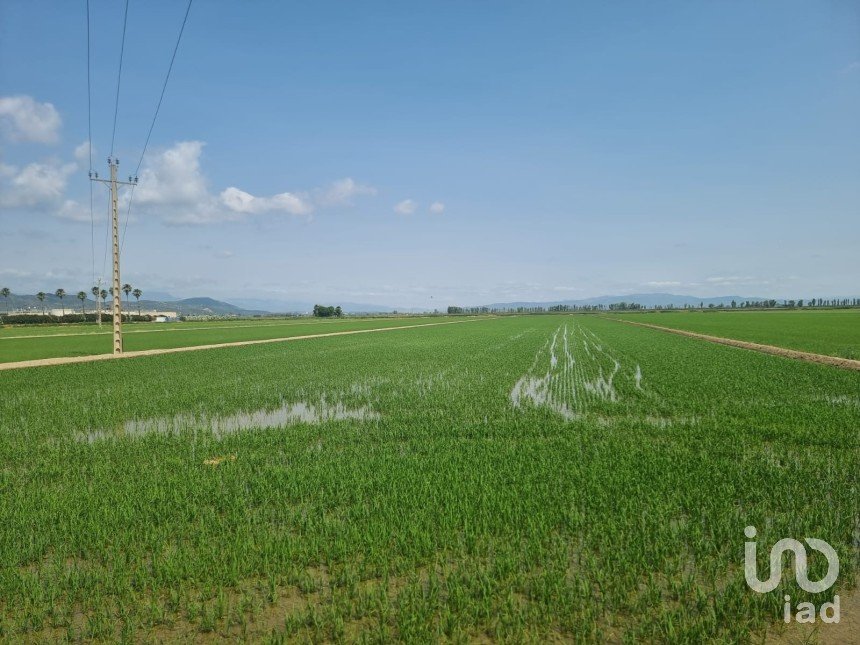 Farm land of 11,311 m² in Sant Carles de La Rapita (43540)