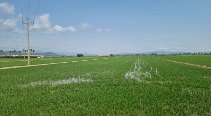 Farm land of 11,311 m² in Sant Carles de La Rapita (43540)