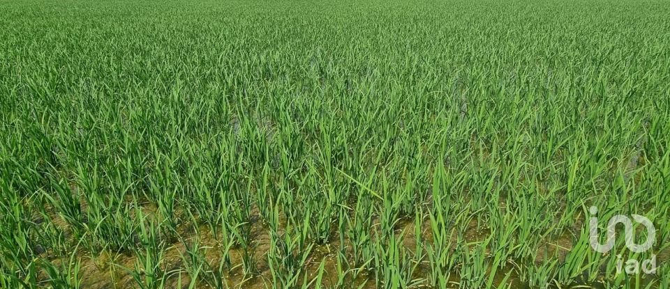 Farm land of 11,311 m² in Sant Carles de La Rapita (43540)