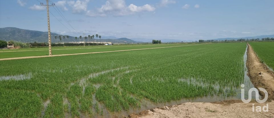 Farm land of 11,311 m² in Sant Carles de La Rapita (43540)