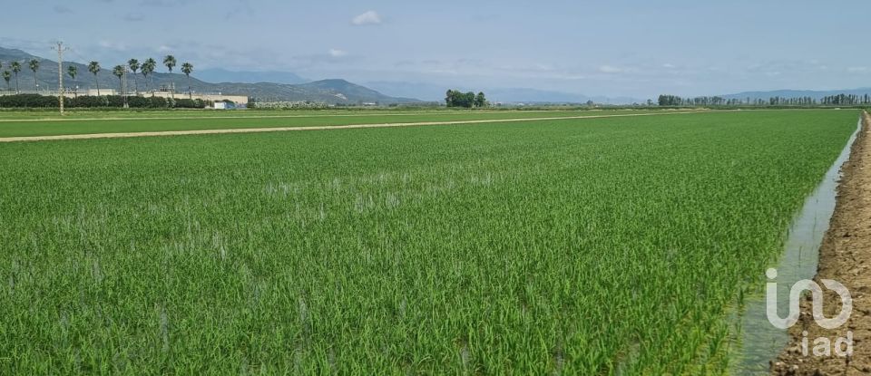 Farm land of 11,311 m² in Sant Carles de La Rapita (43540)