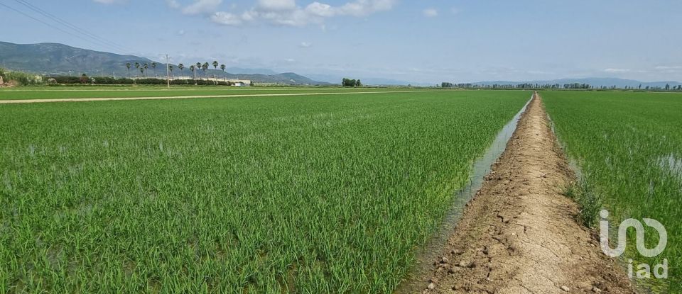 Farm land of 11,311 m² in Sant Carles de La Rapita (43540)