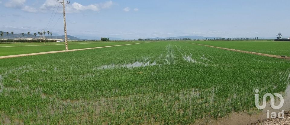 Farm land of 11,311 m² in Sant Carles de La Rapita (43540)