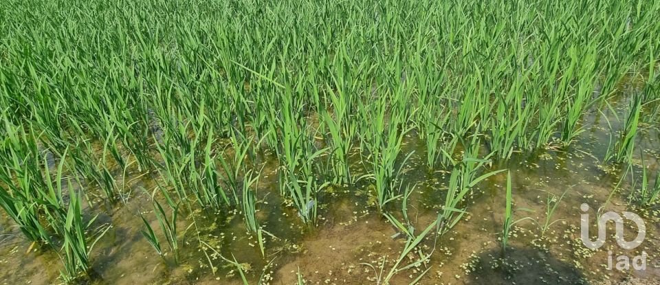 Farm land of 11,311 m² in Sant Carles de La Rapita (43540)