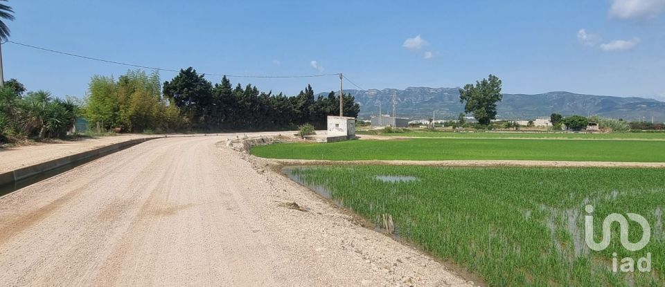Farm land of 11,311 m² in Sant Carles de La Rapita (43540)