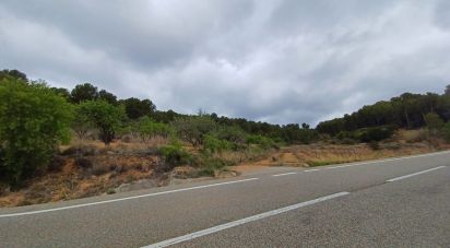 Land of 12,700 m² in La Bisbal del Penedès (43717)