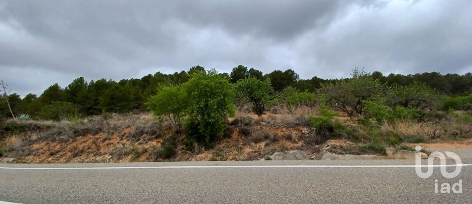 Land of 12,700 m² in La Bisbal del Penedès (43717)
