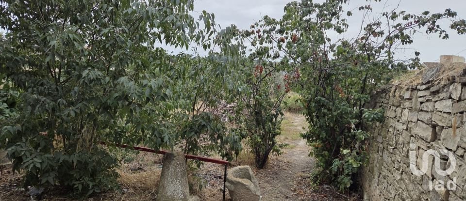 Terrain à bâtir de 719 m² à Tarrega (25300)