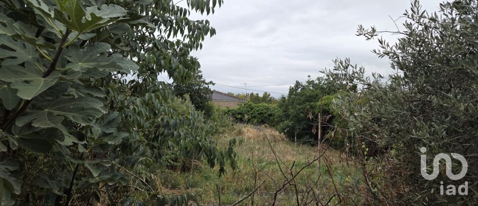 Terrain à bâtir de 719 m² à Tarrega (25300)